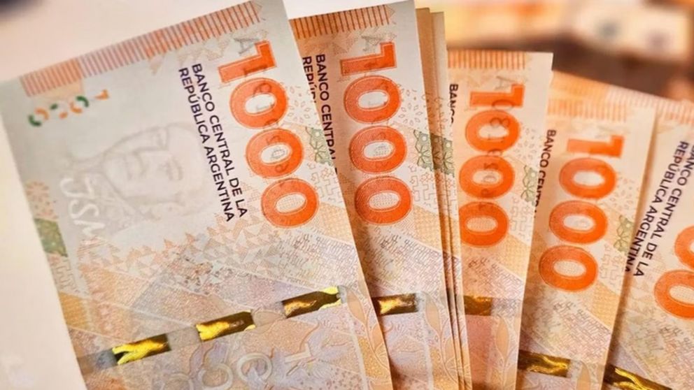 ¿Afecta la Ley Bases a los jubilados de la ANSES?