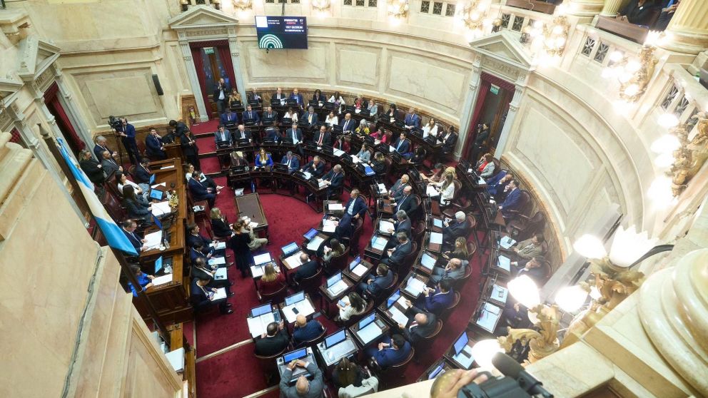 El Senado discute la Ley Bases: ¿a qué hora se vota? (X/@wadodecorrido).