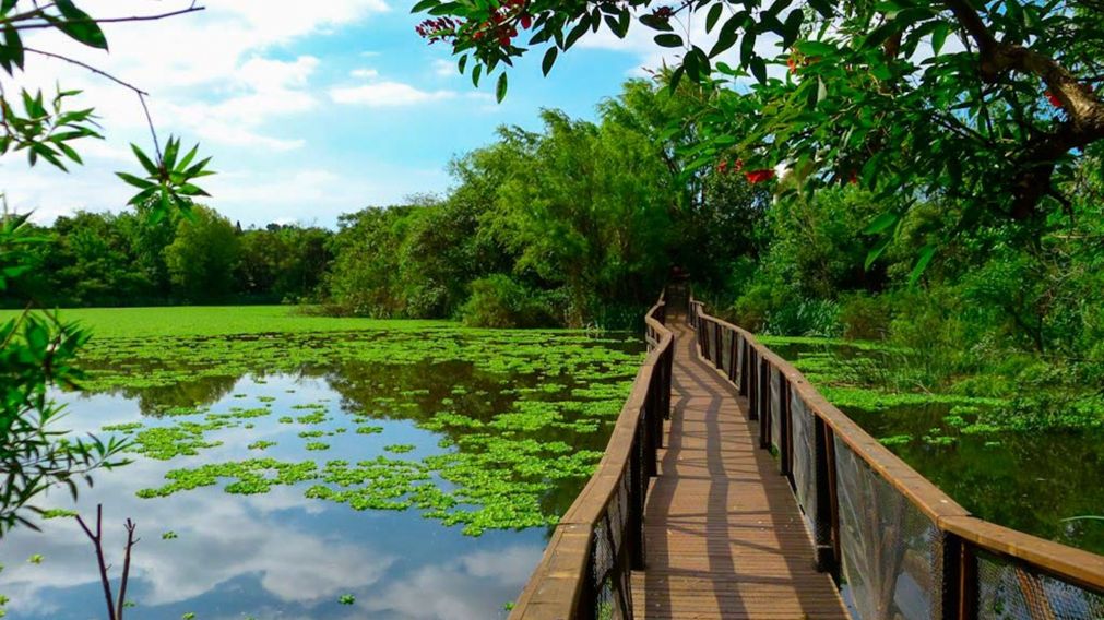 La reserva natural bonaerense que ten�s que visitar si quer�s sorprender a la familia.�