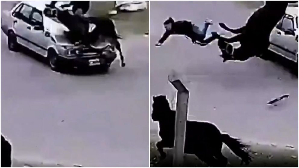 El hecho pudo haber terminado en una tragedia.