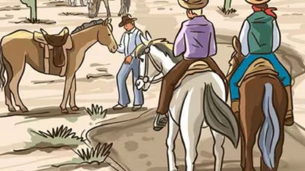 ¿Dónde está el error en la imagen del desierto? Descubrilo en menos de 5 segundos.