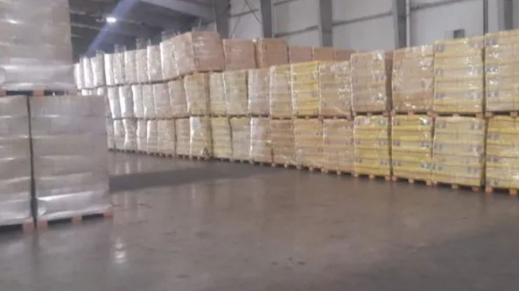 Causa alimentos:el fiscal dictaminó a favor del fallo del juez Casanello