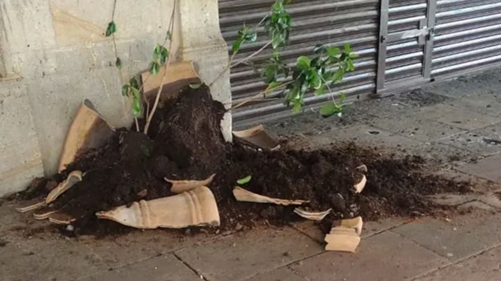 La parte delantera de la casa de la damnificada fue destrozada (Foto internet)