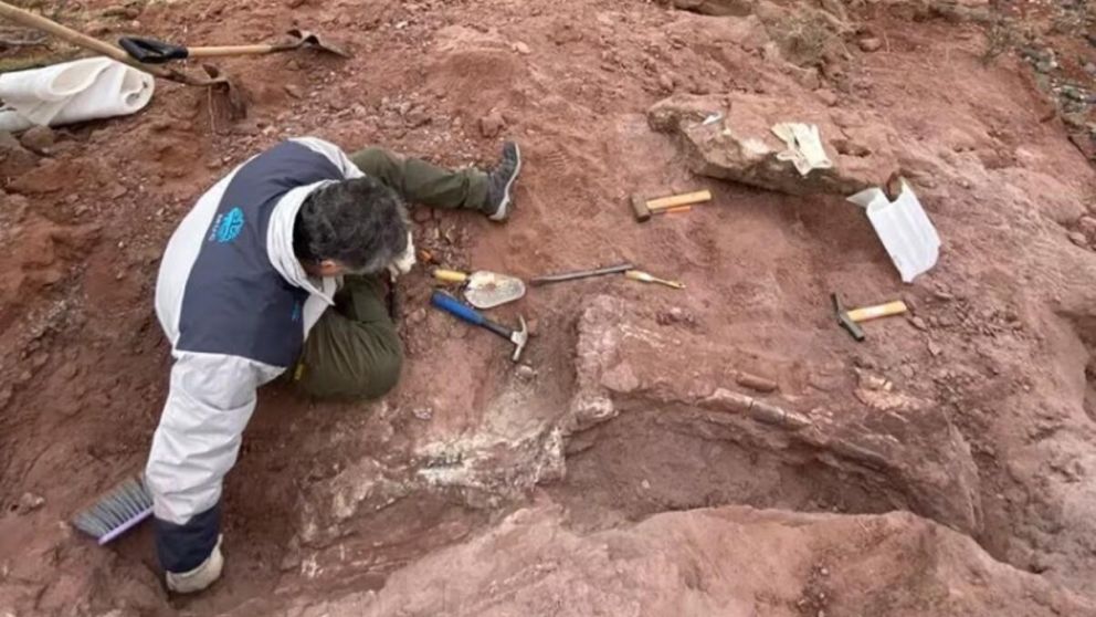 Insólito hallazgo prehistórico en Neuquén de un dinosaurio (UNCO).