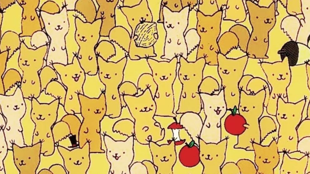Reto visual: ¿Te animás a encontrar al ratón oculto entre las ardillas en menos de 10 segundos?