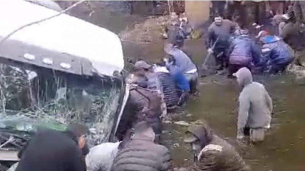 Dram�ticas im�genes del faenamiento de vacas en Mercedes (Captura de video).