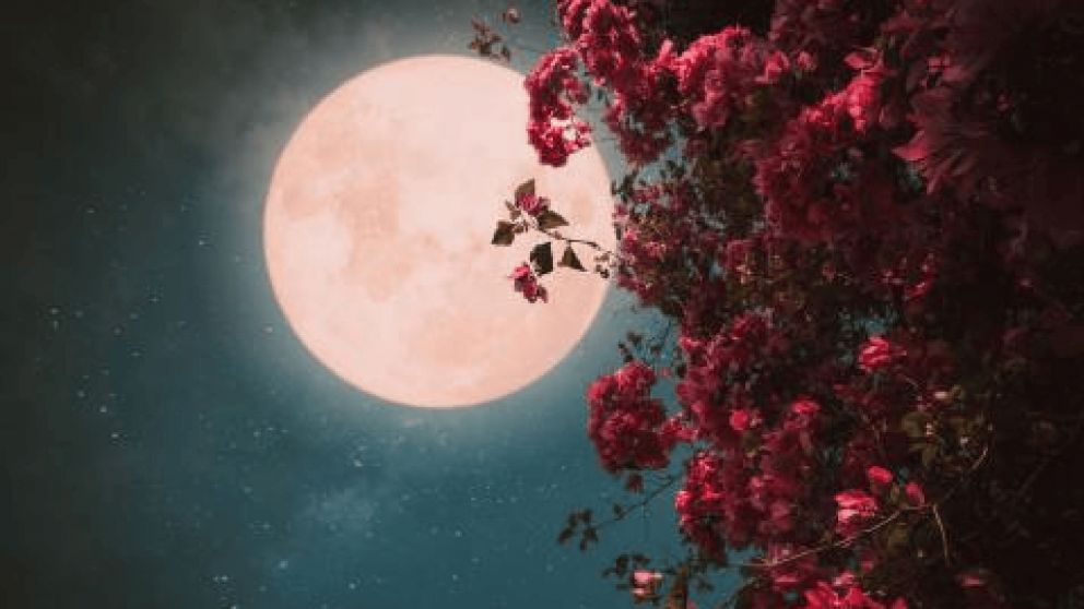 Rituales para atraer la buena suerte y dinero a tu vida durante la Luna llena en Sagitario (Imagen ilustrativa)