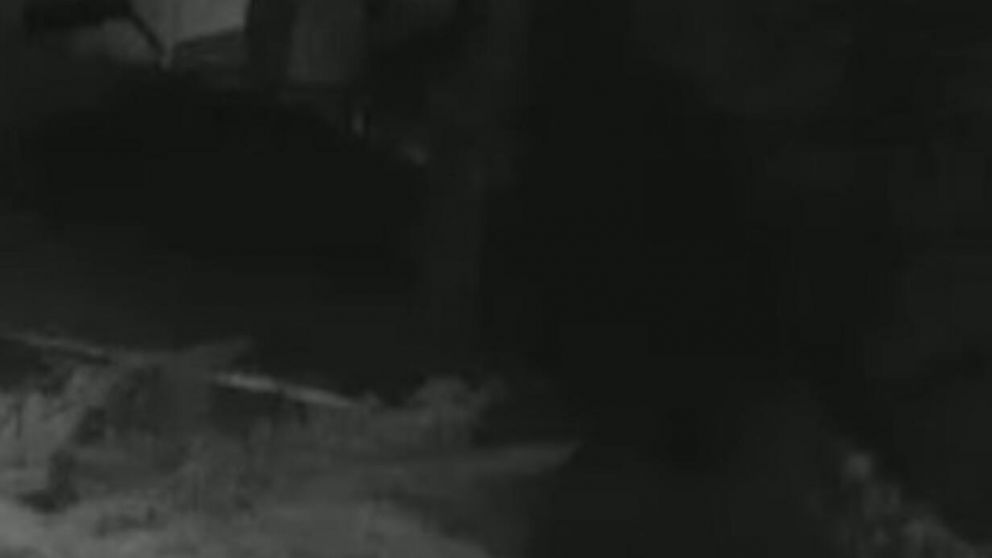 El presunto fantasma fue captado en un hotel de San Carlos de Bariloche (Captura de video).