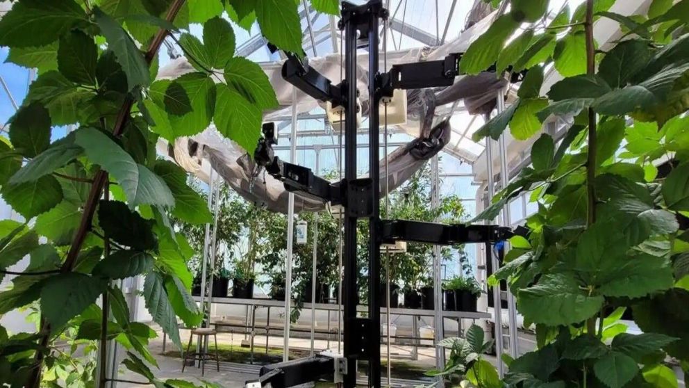 El robot polinizador reemplaza el trabajo de las abejas (Twitter).