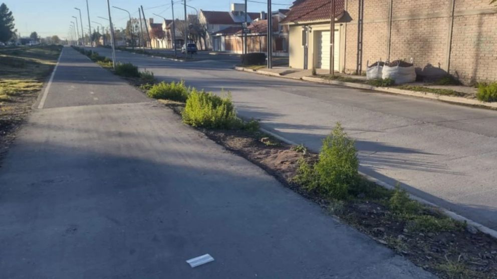 Un policía de civil se resistió al robo de su bicicleta y mató a tiros a un ladrón (Imagen Minuto Neuquén).