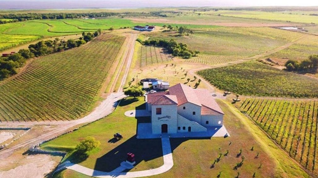 A pocos kilómetros de la Ciudad de Buenos Aires hay una región "inesperada" que está desarrollando una exótica ruta del vino.