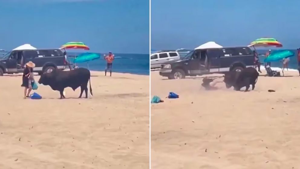 El impactante momento en el que un toro embistió a una mujer en una playa (Imagen captura vídeo).