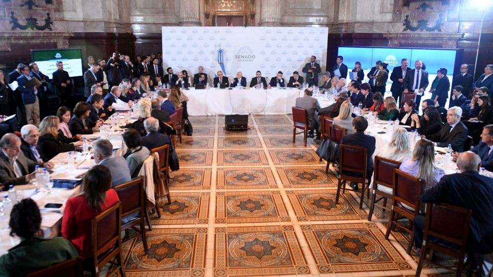 El plenario de comisiones del Senado debate la Ley Bases tras la media sanción en Diputados.