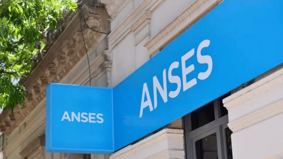 El llamativo cambio de ANSES en cuatro planes de asistencia.