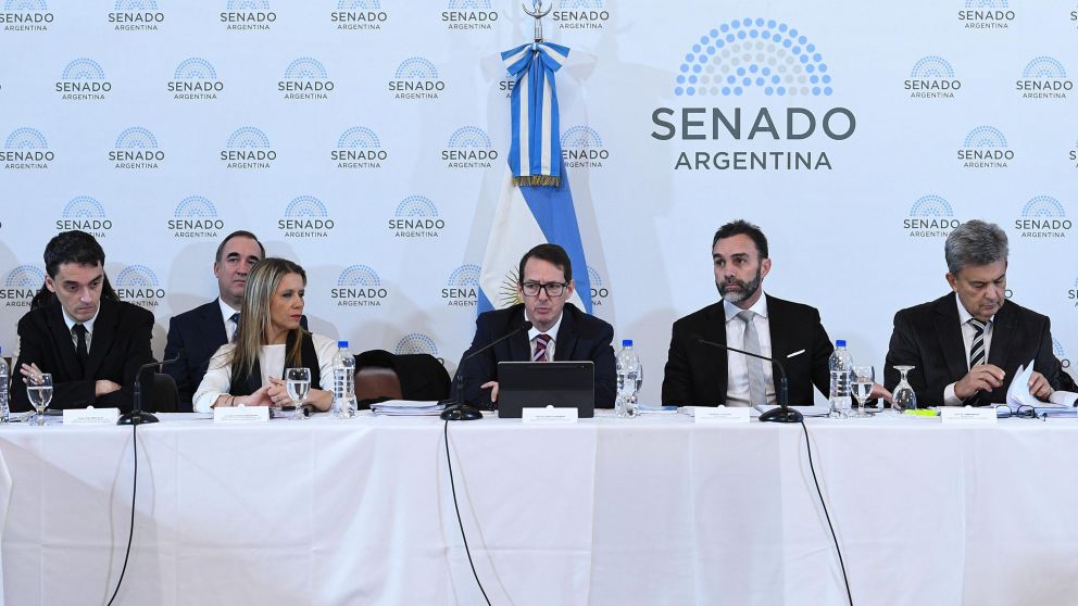 Ley Bases: el debate en comisión en el Senado continuará el lunes.