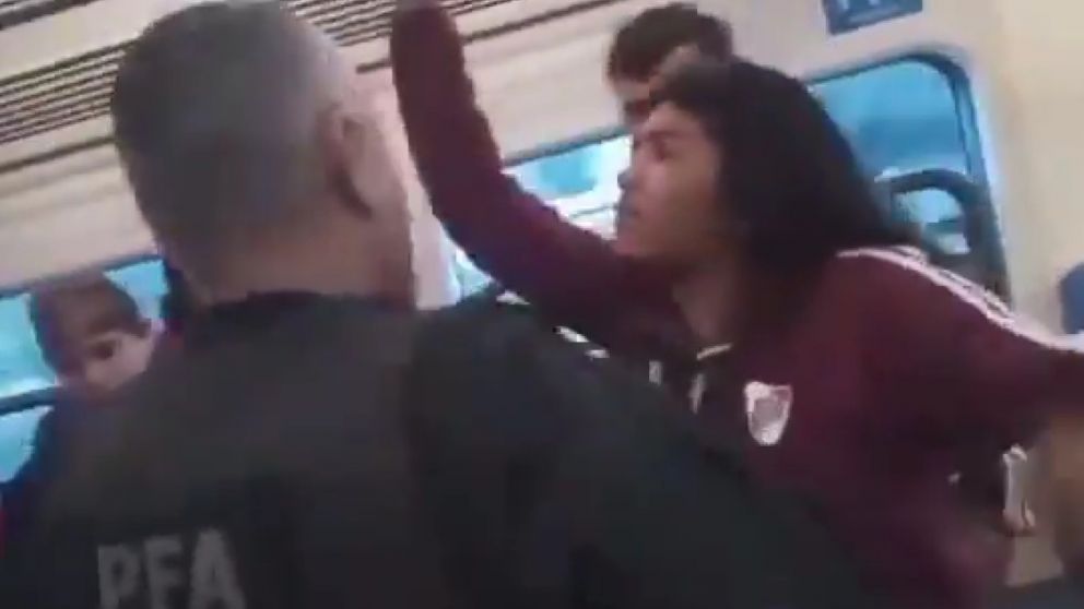 Un hombre mordió a un policía en el tren San Martín y saltó de la formación.