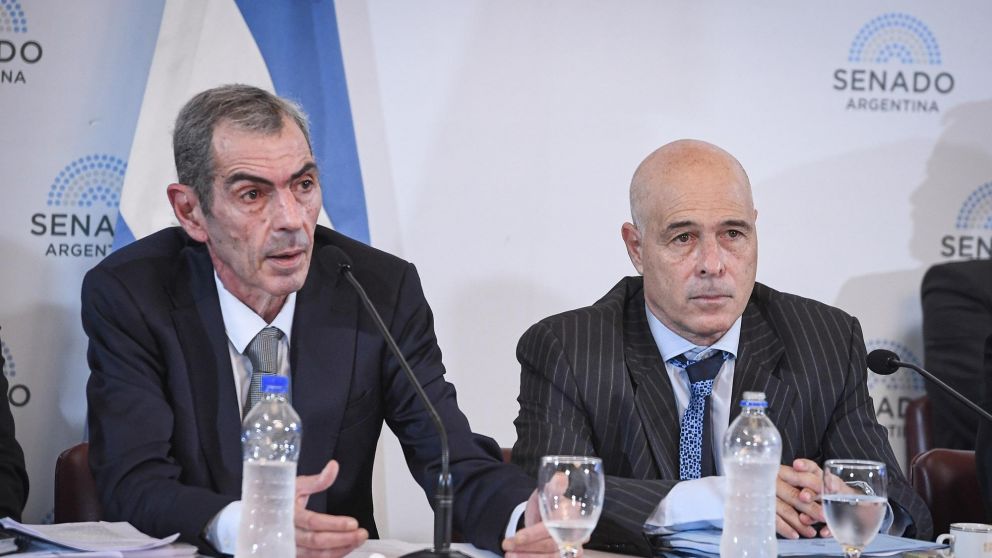 Los secretarios de Trabajo y Energ�a exponen ante las comisiones legislativas sobre la ley Bases (Twitter/@SenadoArgentina).