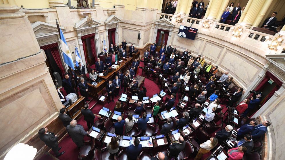 El oficialismo confía en llevar el debate al recinto del Senado el próximo 16 de mayo (Archivo).