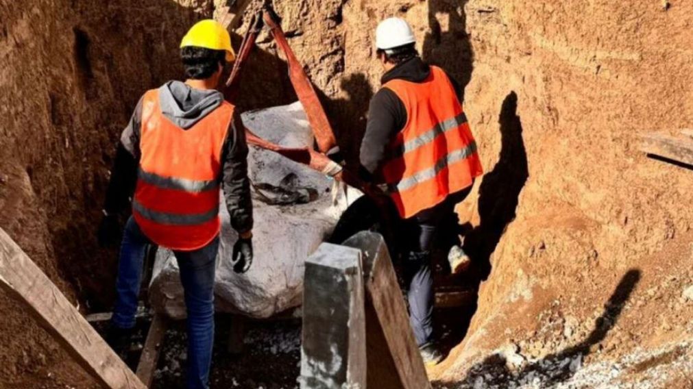 Un trabajo de excavaci�n termin� en un importante hallazgo (Twitter).