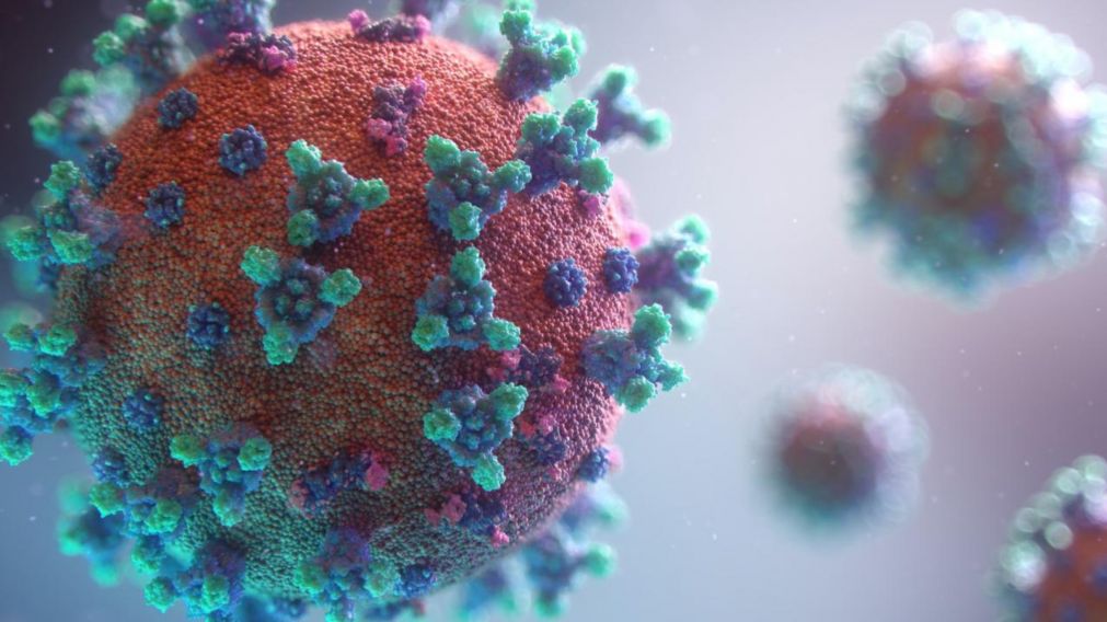 El coronavirus, la enfermedad que neutraliz� al mundo entero.