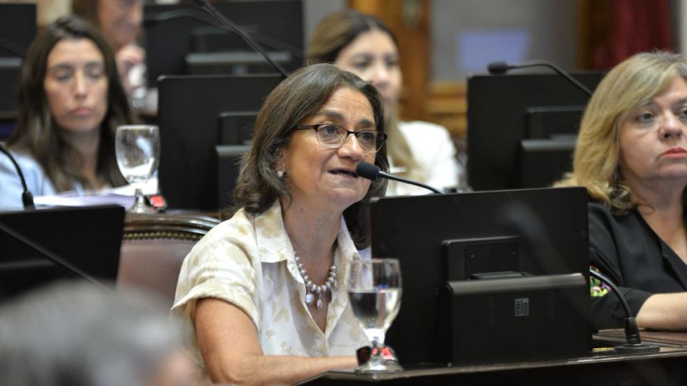 "Quiero sentarme, leerla porque no la tenemos en nuestras manos”, dijo la legisladora nacional.