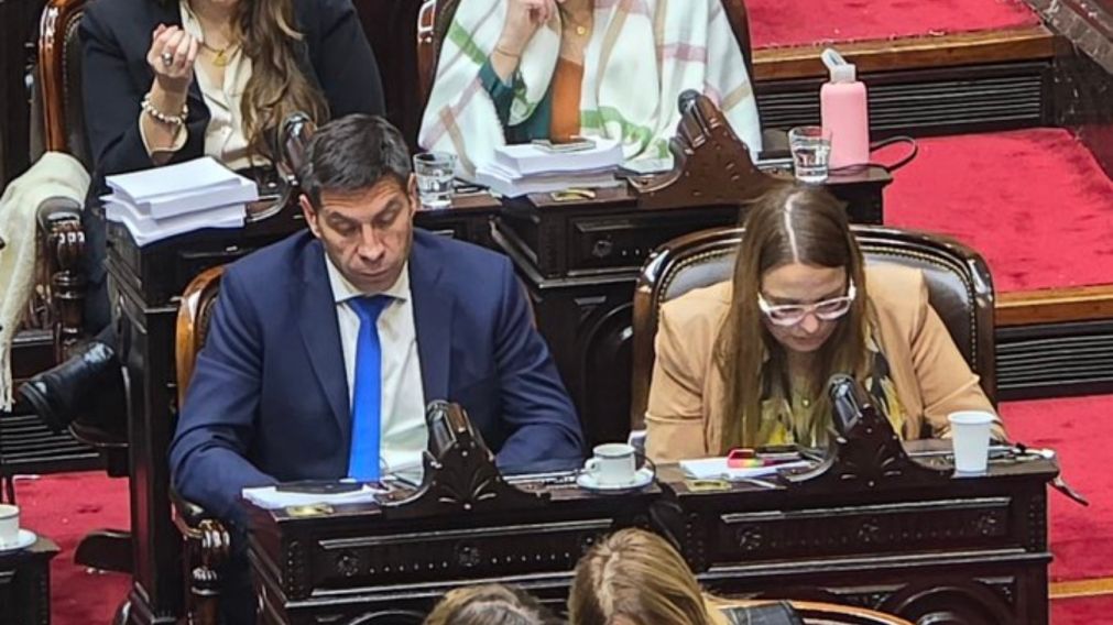 "A la gilada (y a las pavas) ni cabida", dijo la diputada Marcela Pagano tras su regreso al recinto.