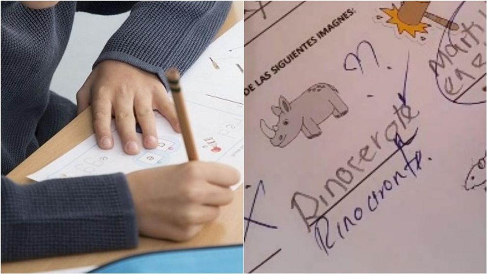 Las desopilantes respuestas de un nene en un examen escolar: "Político rata".