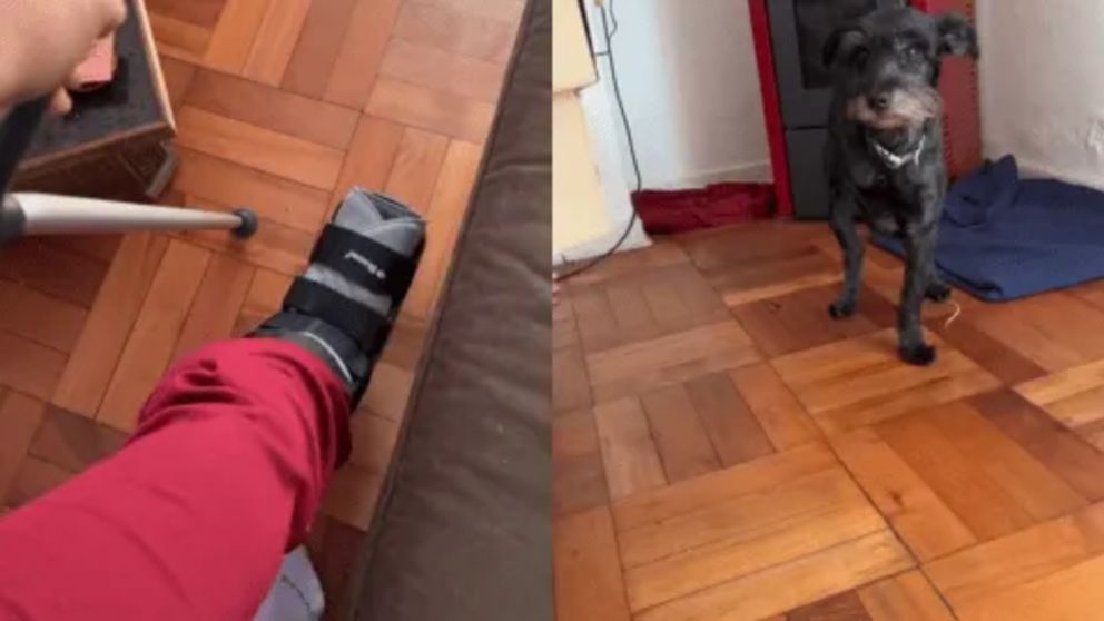 El tierno gesto que tuvo un perro con su dueña, que sufrió una fractura de tobillo (Imagen captura vídeo).