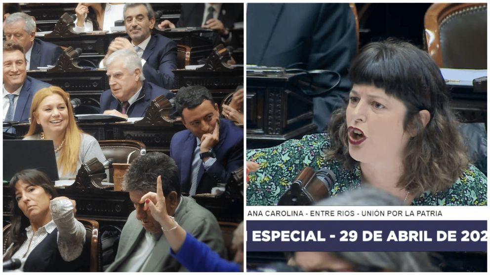 La diputada Ana Carolina Gaillard tuvo un cruce con su par Karina Banfi.