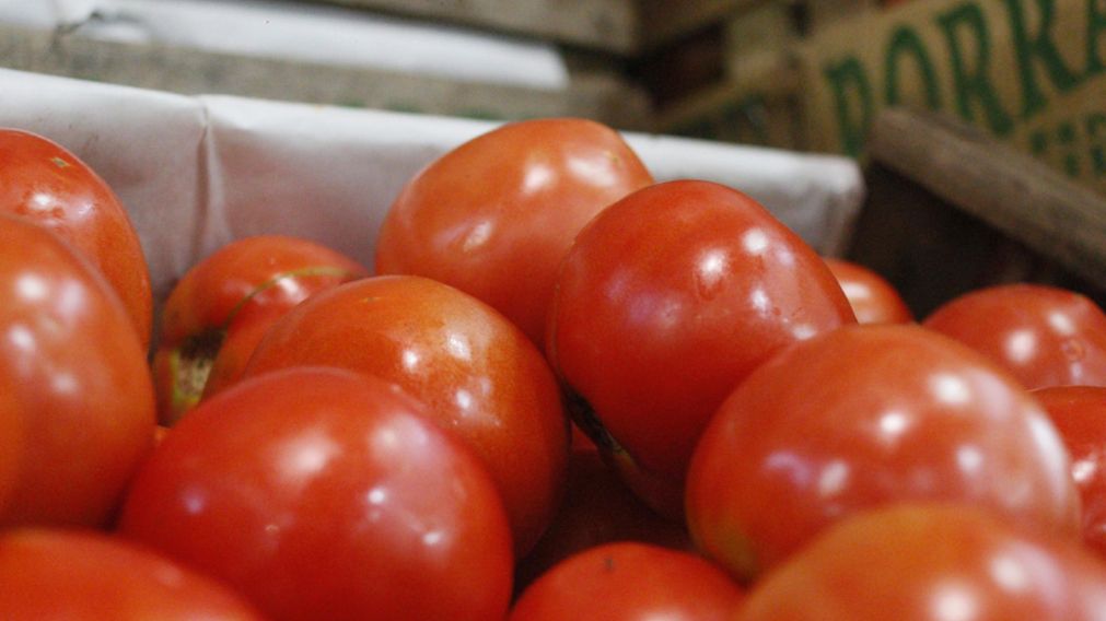 El precio del tomate subió más del 60% en una semana (Gentileza Mercado Central de Buenos Aires).