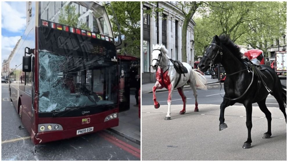 Un grupo de caballos de la guardia real británica desataron el terror en las calles y avenidas de Londres.