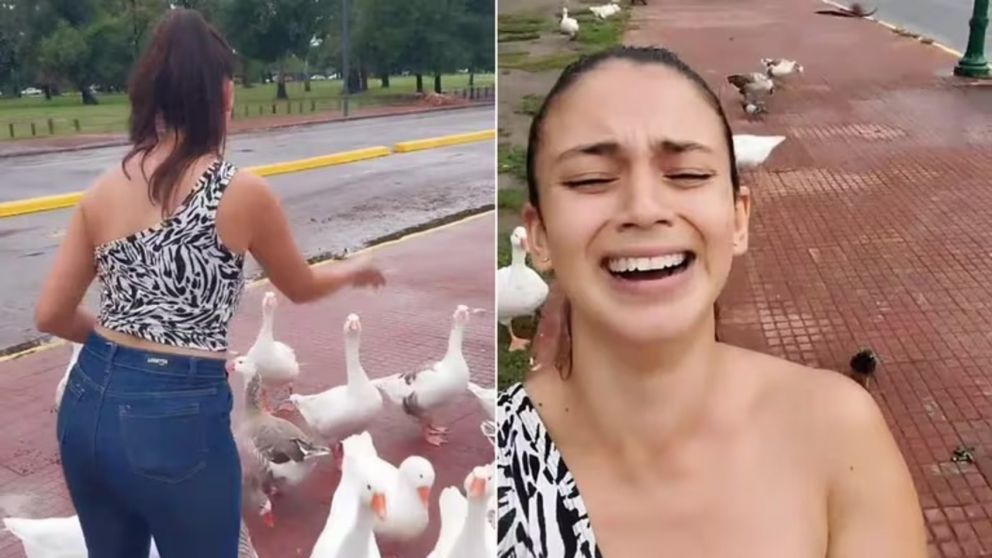 El insólito momento que vivió una joven tras alimentar a unos gansos en los Bosques de Palermo (Imagen captura vídeo).