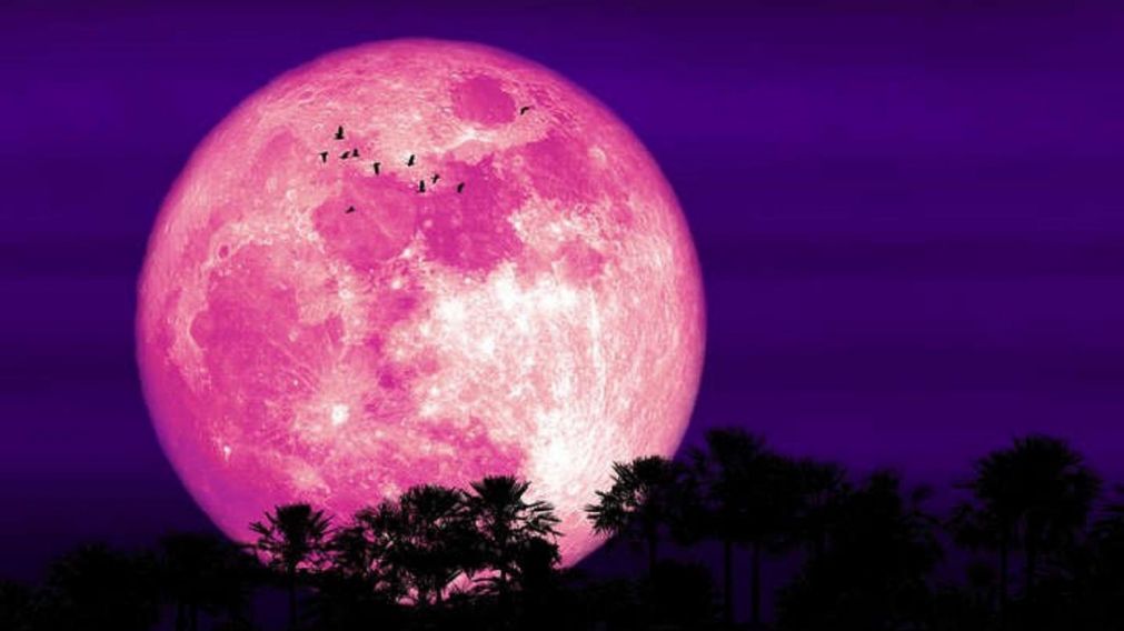 Luna Rosa del 24 de abril: rituales para atraer dinero y trabajo.