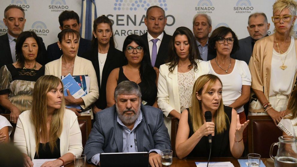 El kirchnerismo pedirá una sesión especial para tratar un proyecto de Mayans para fijar los sueldos de los tres poderes del Estado.