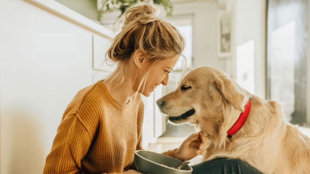 Estos son los signos que mayor afinidad tienen con los animales (Imagen ilustrativa)