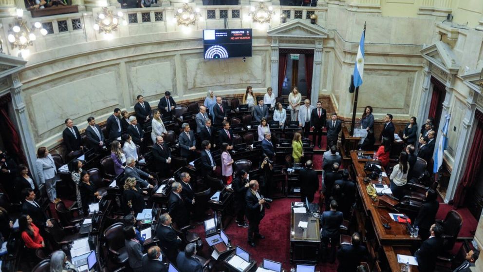 El proyecto deberá ser tratado en la Cámara de Diputados (Archivo).