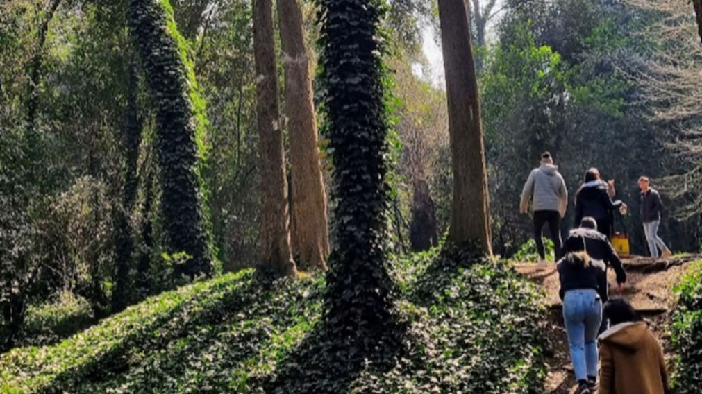 Un bosque repleto de sorpresas donde no hay lugar para el estrés.