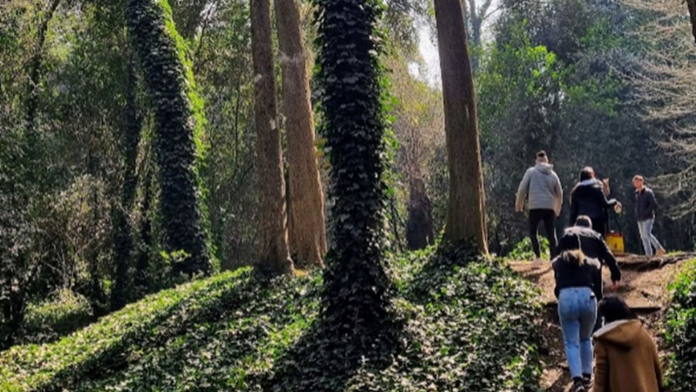 Un bosque repleto de sorpresas donde no hay lugar para el estrés.