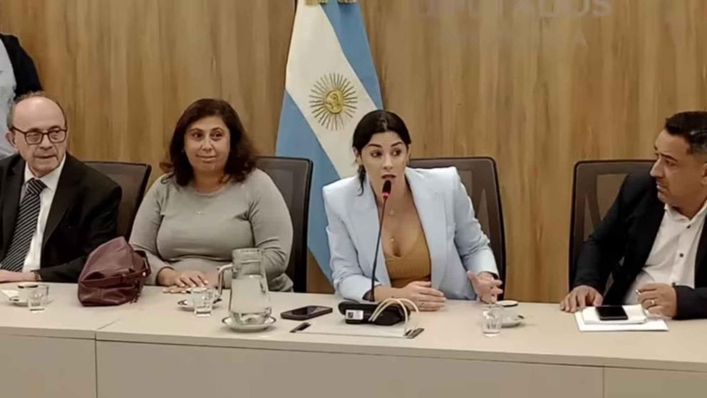 Marcela Pagano fue designada presidenta de la comisión de Juicio Político en una reunión que terminó en escándalo