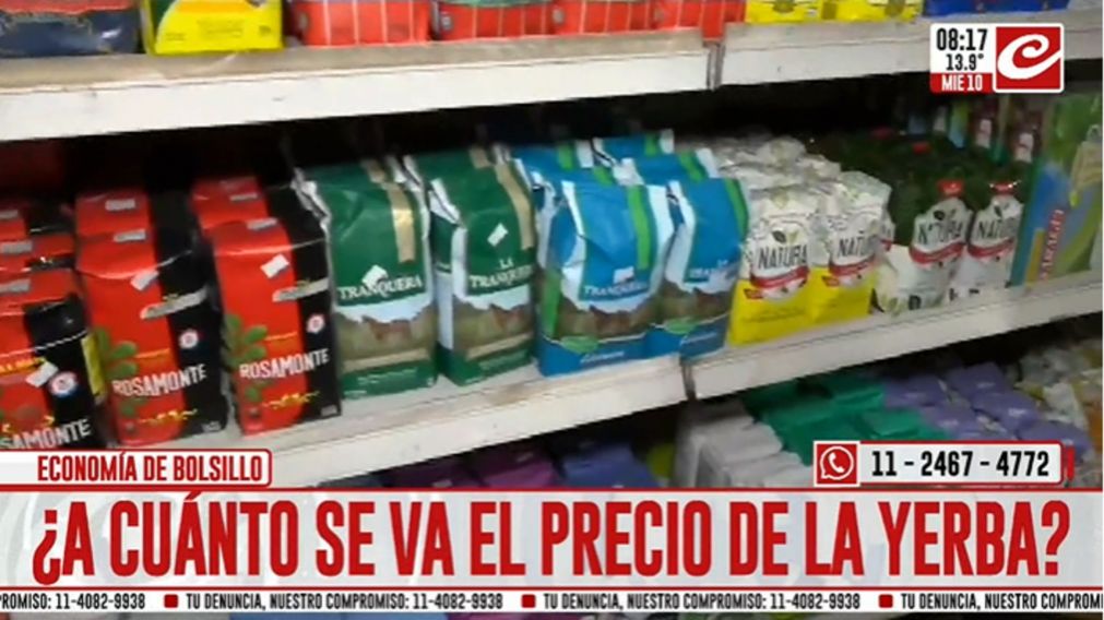 Precio de la yerba: la justicia misionera falló contra las medidas de Javier Milei