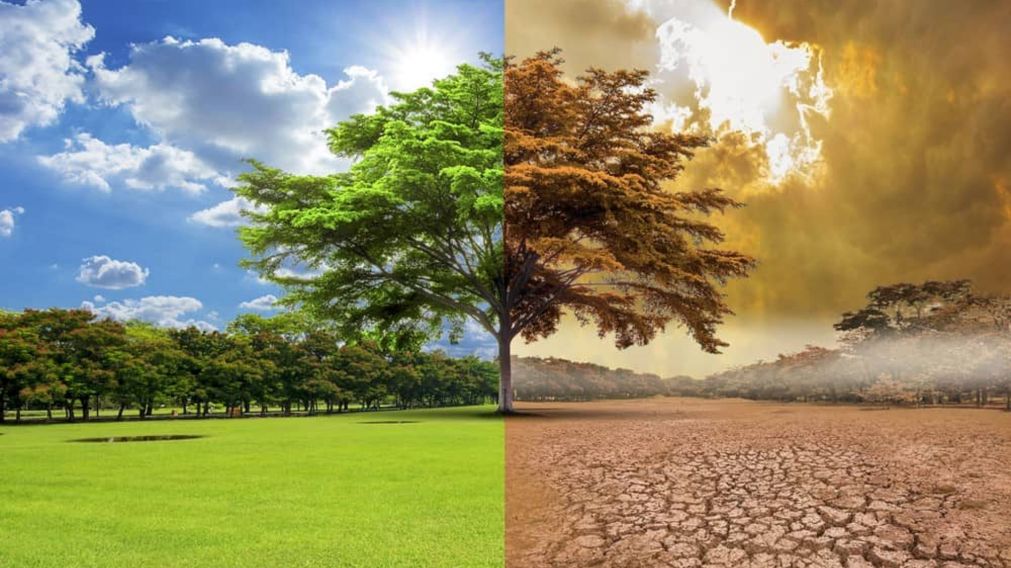 Más del 90% de los argentinos cree que el mundo se acerca a un “colapso ambiental”.