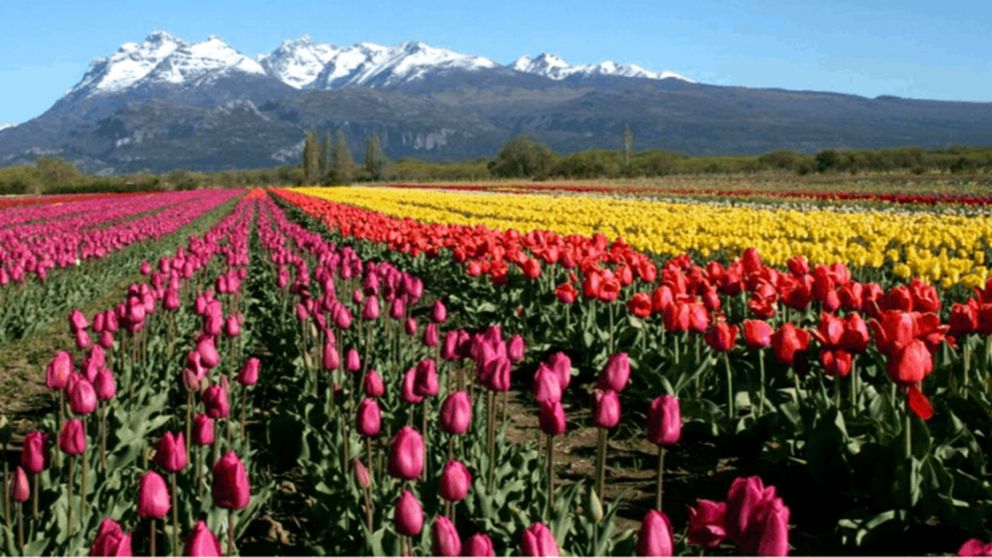 Conocé el pueblito mágico donde la naturaleza es alucinante.