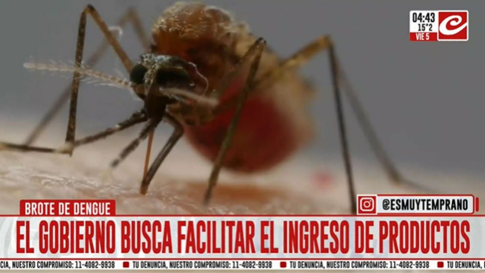 Alerta dengue: el Gobierno autorizó la importación de repelentes