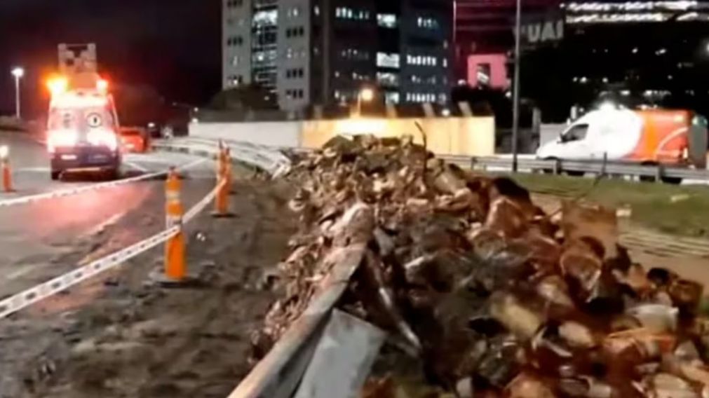 �Saqueo inminente! Cami�n que transportaba dulces choc� y volc� en plena autopista: as� la gente arras� con la mercader�a en Panamericana y General Paz.