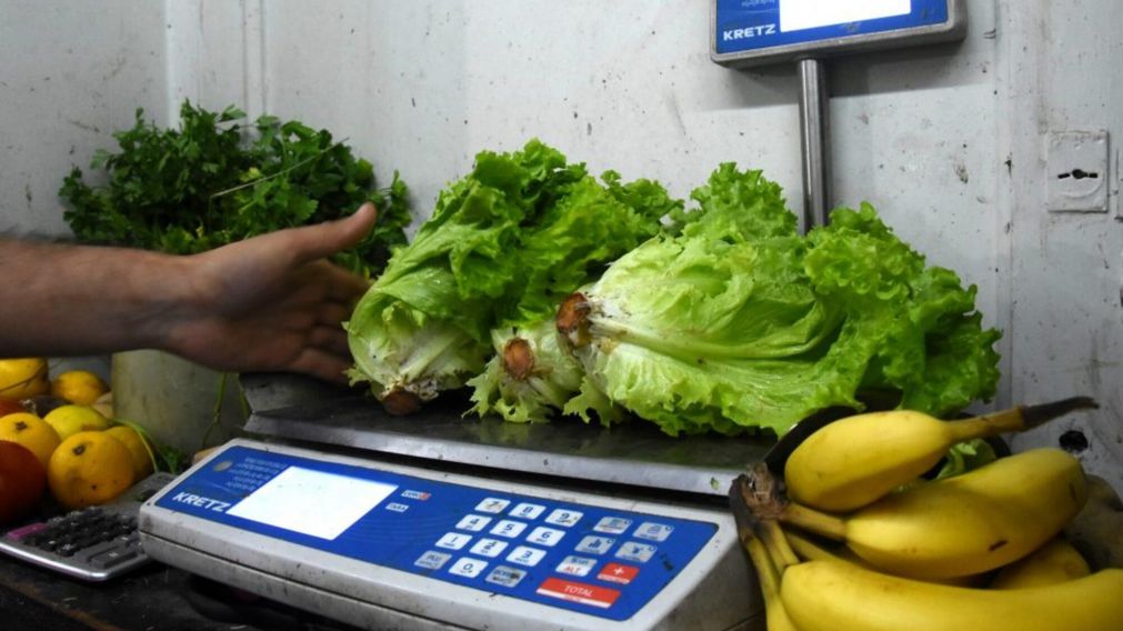 El precio de la lechuga aumentó 150% en un mes (Gentileza La Capital de Mar del Plata).