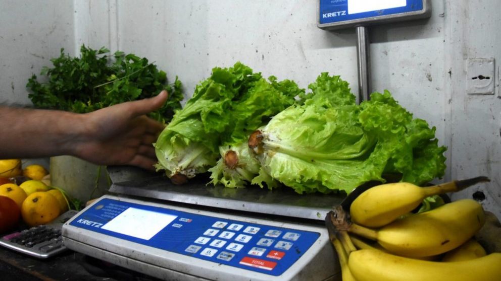 El precio de la lechuga aumentó 150% en un mes (Gentileza La Capital de Mar del Plata).