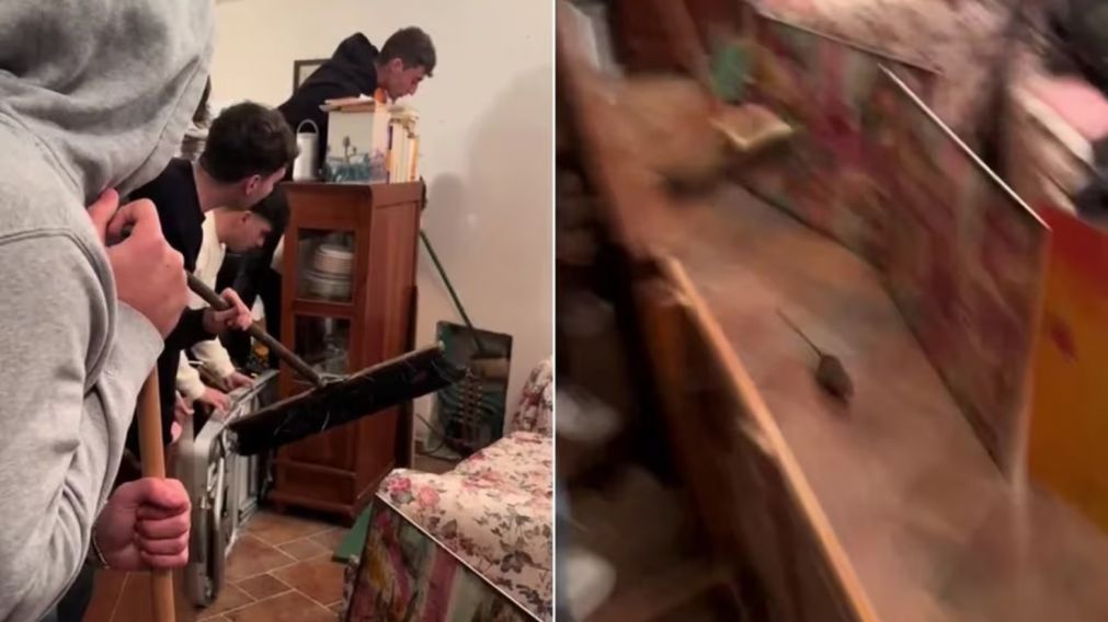 Un grupo de amigos ide� un ingenioso plan para sacar a una rata de su casa (Imagen captura v�deo).