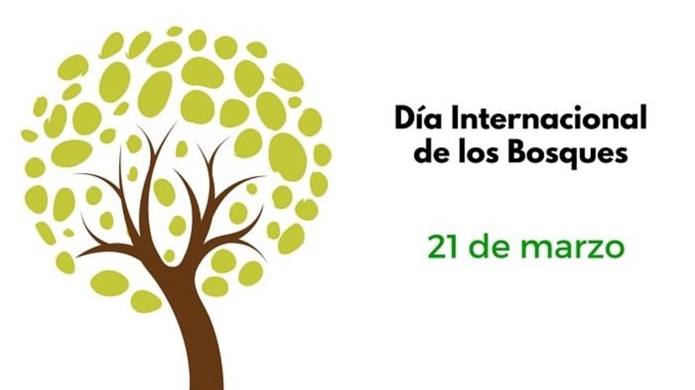 Día Internacional de los Bosques: descubrí su Importancia y significado