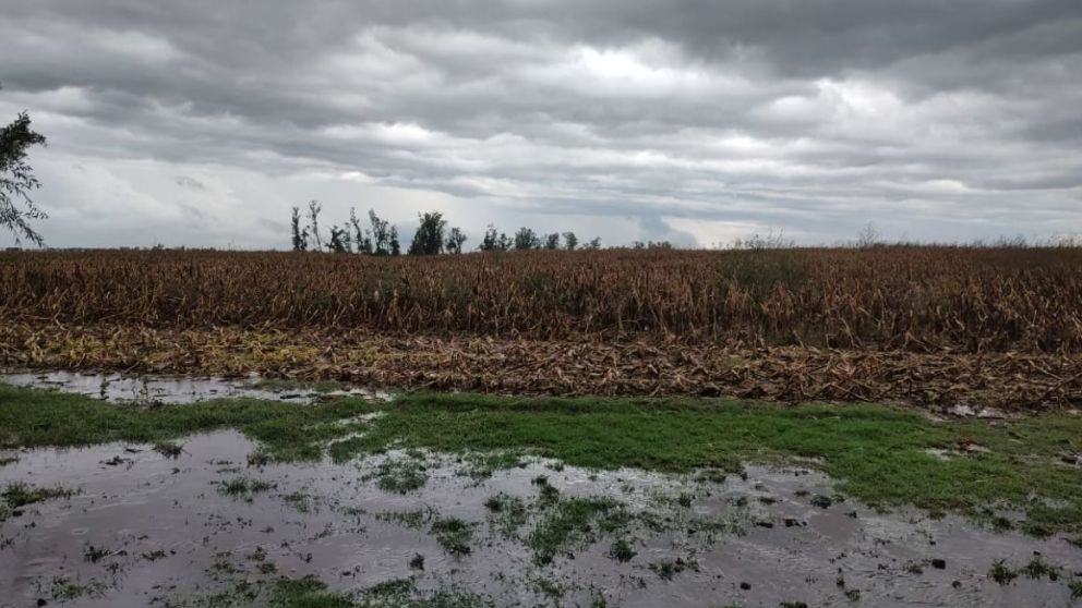 ¿Qué es la "supercelda" que cae sobre Buenos Aires?