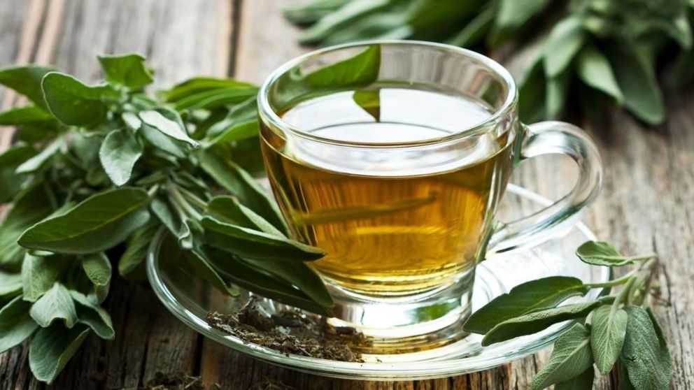 Conocé todas las propiedades del té de salvia y cómo prepararlo en casa.